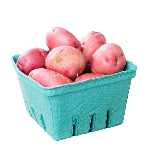 Produce Containers