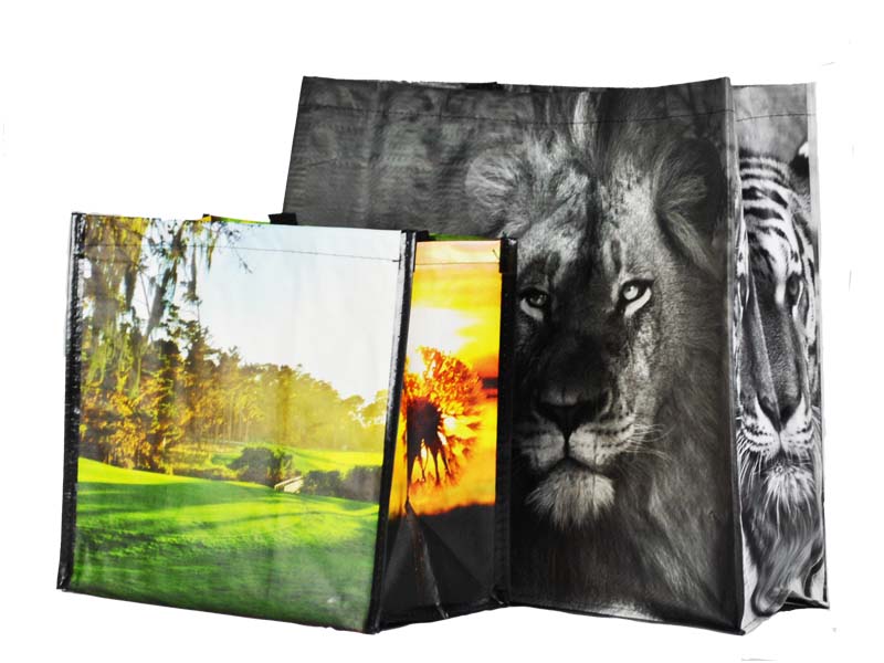Custom Shopping Bags