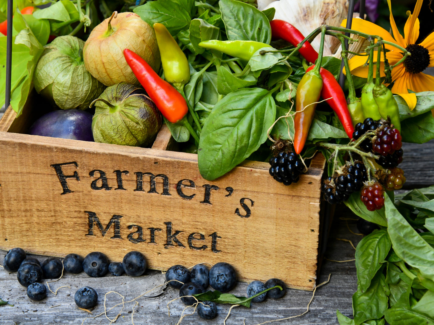 Farmer's Market Supplies