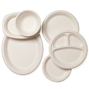 Biodegradable Dinnerware