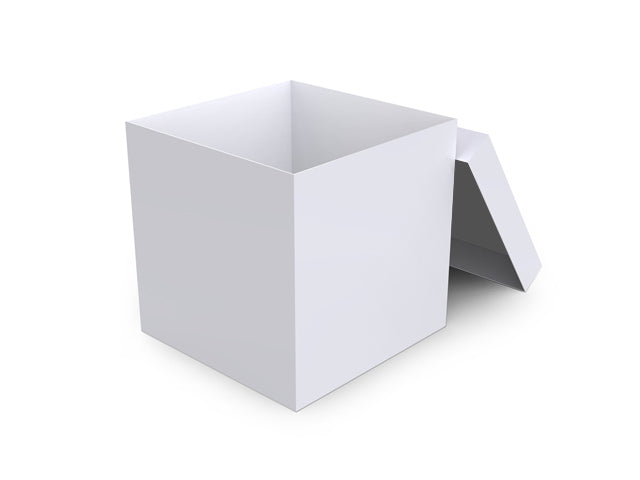 Corrugated Carry Out Cartons