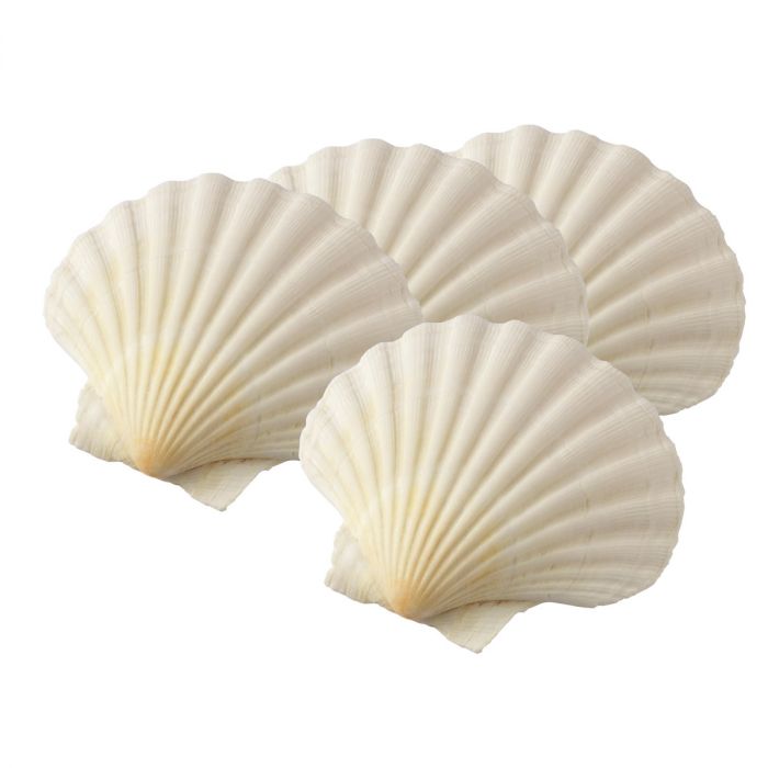 Harold Imports Maine Man's Baking Shell Set 3 45680