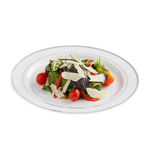 Visions White Plastic Plate with Silver Bands 10" - 12/Pack