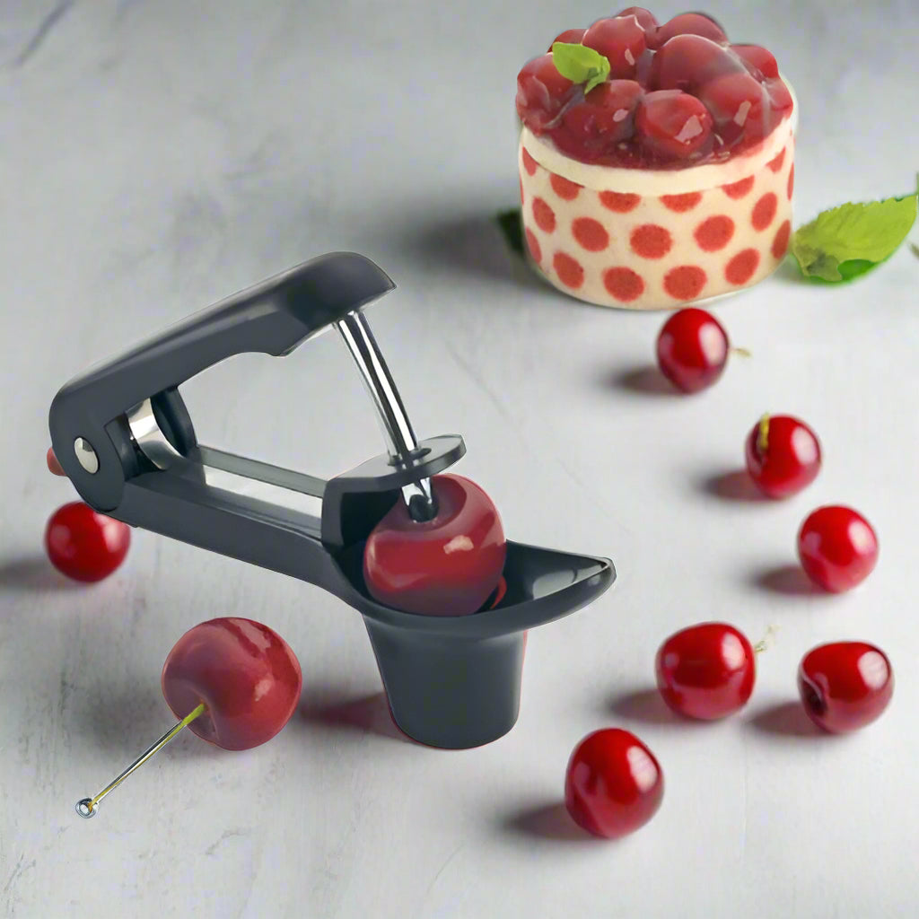 Browne Cuisipro Stainless Steel Plunger Cherry and Olive Pitter 747151