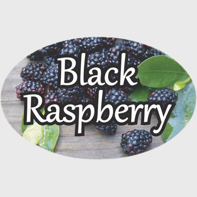Standard Flavor Label Black Raspberry - 500/Roll