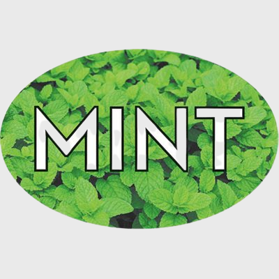 Standard Flavor Label Mint - 500/Roll