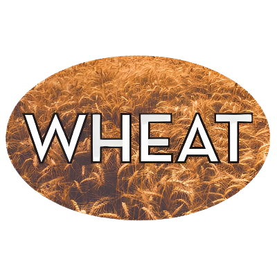 Standard Flavor Label Wheat - 500/Roll
