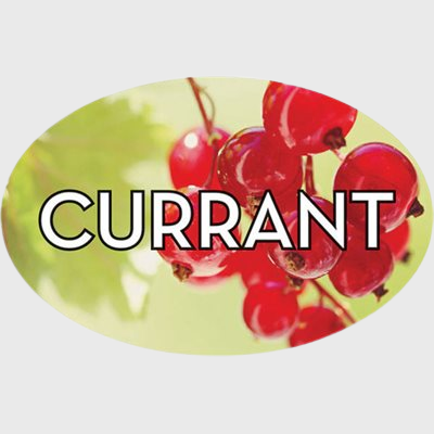 Standard Flavor Label Currant - 500/Roll