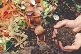 Composting Guide for Food Industry Professionals