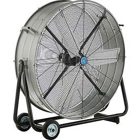 Fans