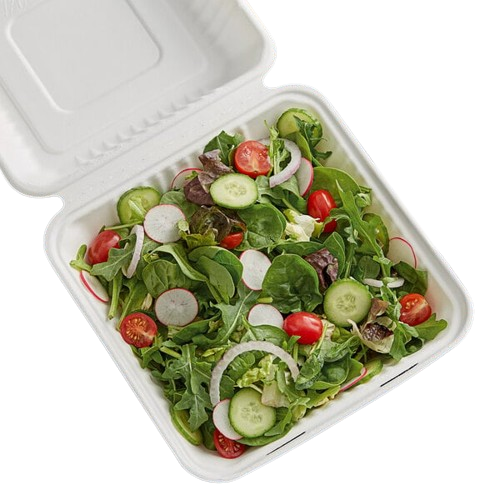 Biodegradable 1 Compartment Hinged Container 9" x 9" x 3" EHL-91 - 200/Case