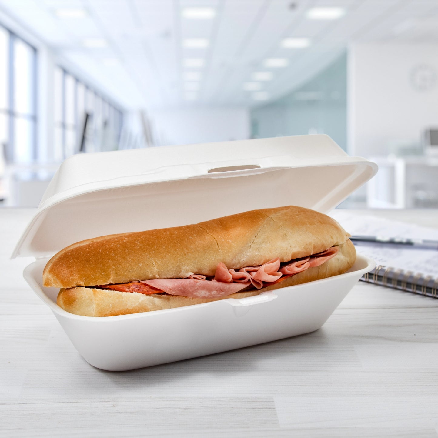 Dart Mfg. Foam Hinged One Compartment Hoagie Container 10" x 5 1/4" x 3" 99HT1R - 500/Case