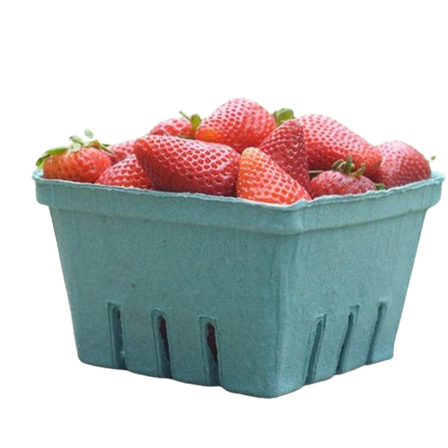 Green Produce Quart Pulp Container - 250/Case