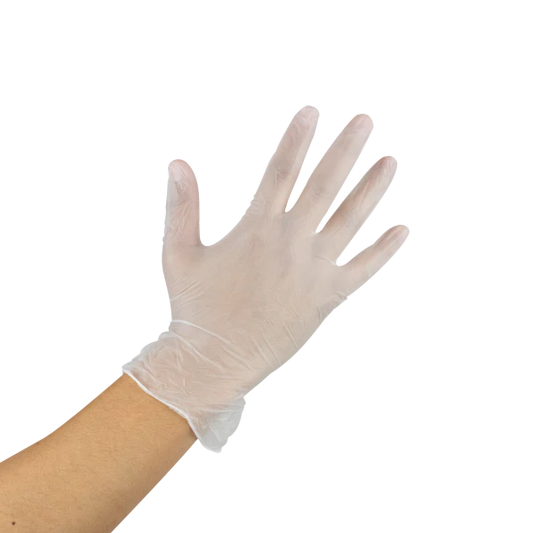 Vinyl Gloves Powder Free Large - 100/Box