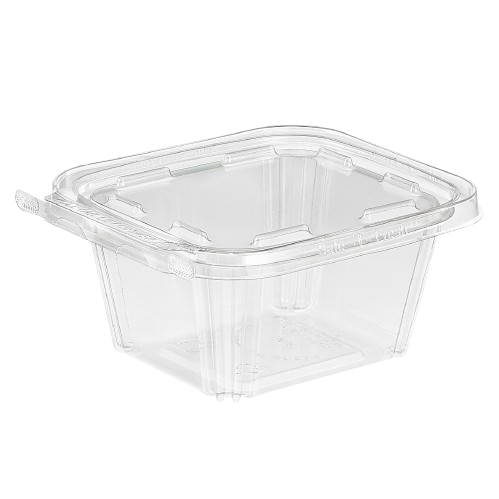 Inline Clear Hinged Plastic Container 16 oz. TS16 - 240/Case