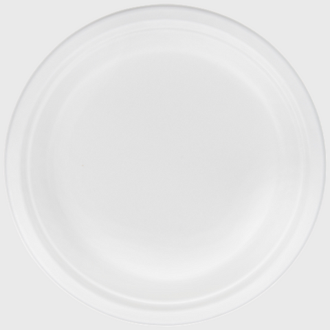Biodegradable Paper Plate 9" - 500/Case