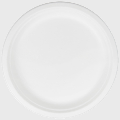 Biodegradable Plate 10" One Compartment - 500/Case