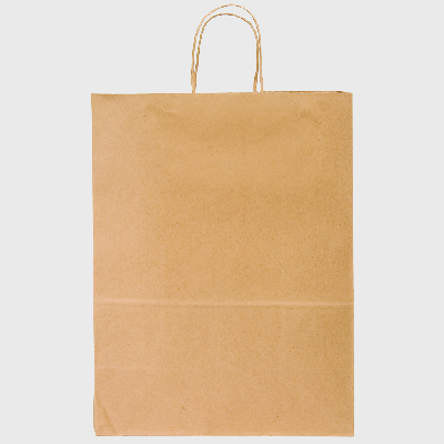 Kraft Heavy-Duty Paper Shopping Bag 60# Basis with Twist Handle 10" x 5" x 13" 87124 - 250/Case