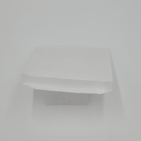 Fischer Plain White Bag 6" x 3/4" x 6-1/2" - 1000/Case