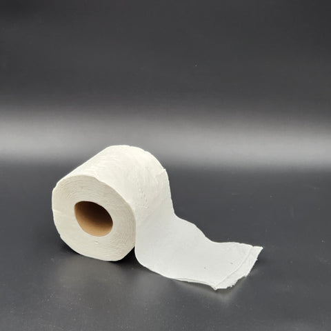 White Single Roll 2 Ply Toilet Paper - 96/Case