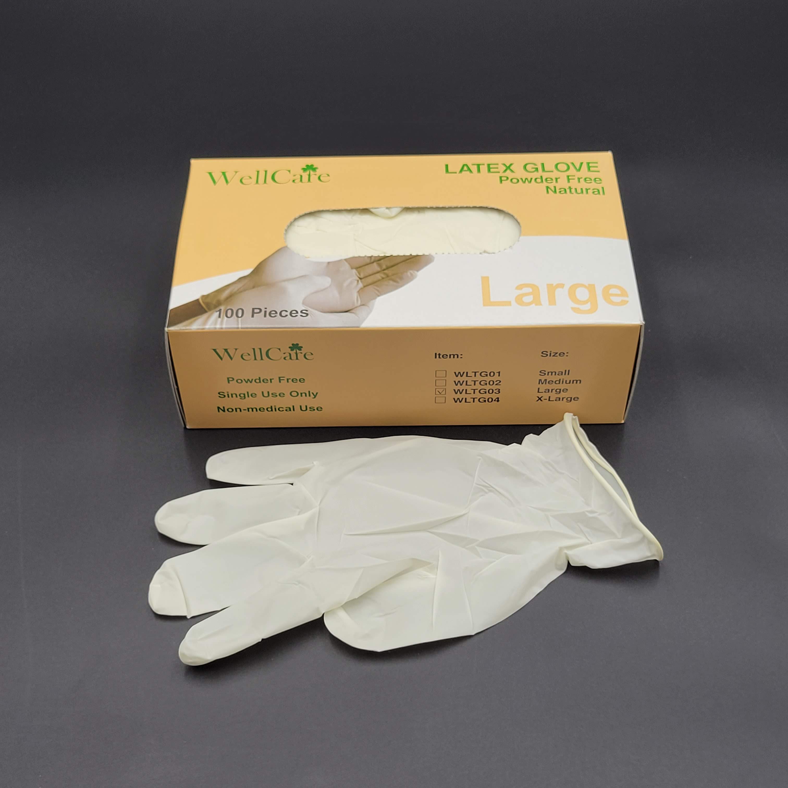 Latex Gloves Powder Free Large - 1000/Case