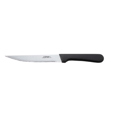 Steak Knife 5" Stainless Steel Blade with Plastic Handle 8-11/16" O.A.L. - One Dozen