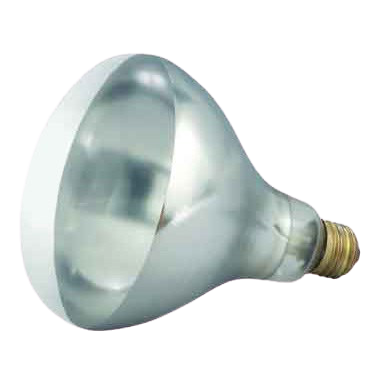 Heat Lamp Bulb for EHL-2 250 Watt Clear
