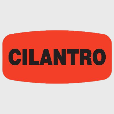 Short Oval Label Cilantro - 1,000/Roll