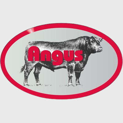 Beef Label Angus With Steer - 500/Roll