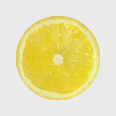 Seafood Label Lemon Slice  - 500/Roll