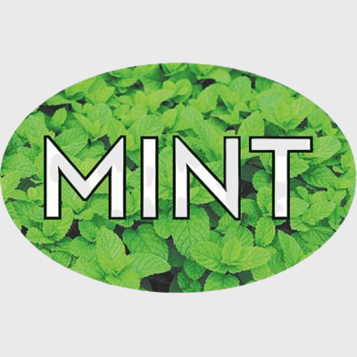 Standard Flavor Label Mint  - 500/Roll