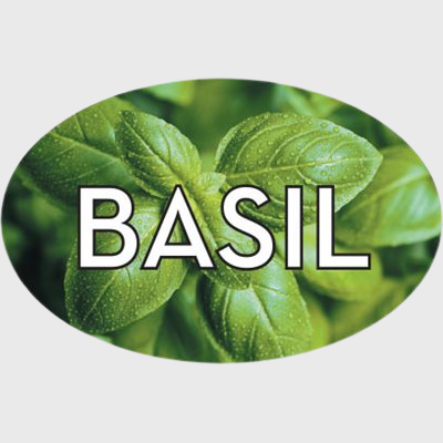 Standard Flavor Label Basil - 500/Roll